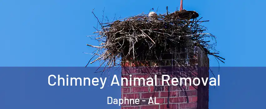  Chimney Animal Removal Daphne - AL