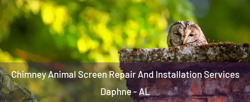  Chimney Animal Screen Repair And Installation Services Daphne - AL