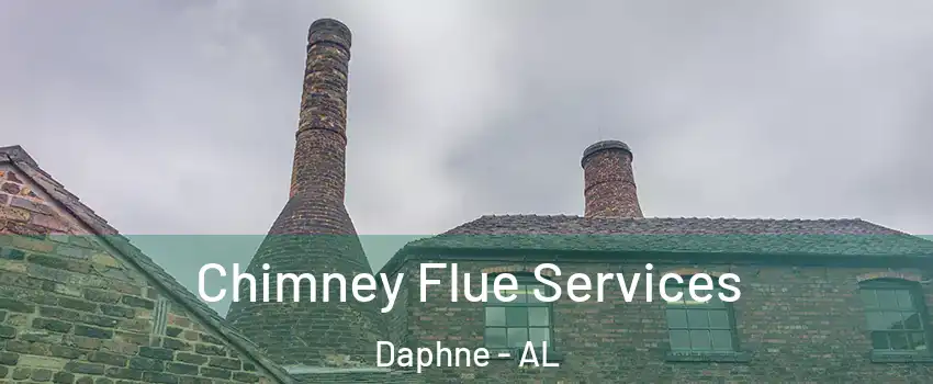  Chimney Flue Services Daphne - AL