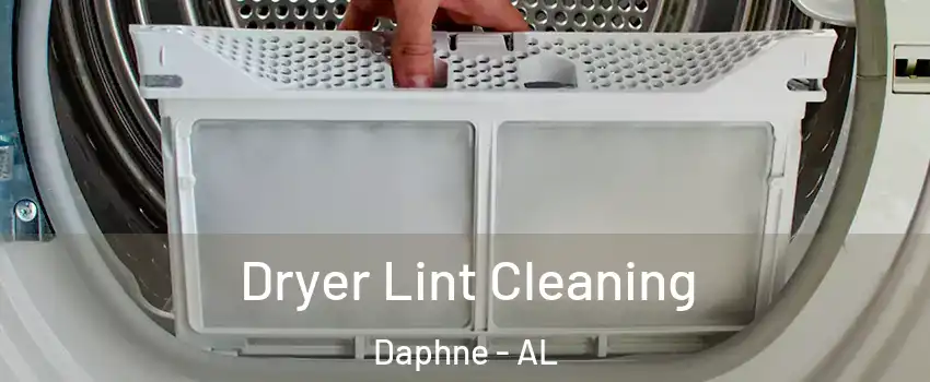  Dryer Lint Cleaning Daphne - AL