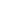 Professional Chimney Flue Installation in Daphne, Alabama