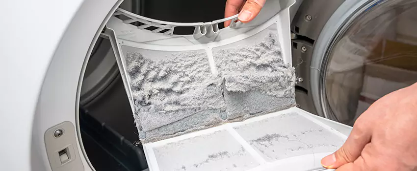 Best Dryer Lint Removal Company in Daphne, Alabama