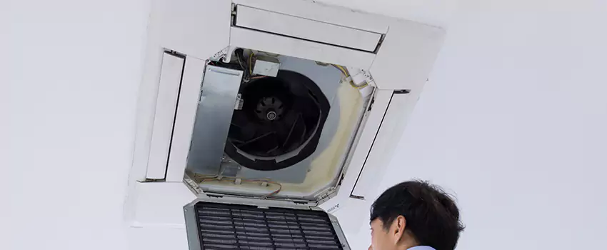 Benefits of Professional Air Duct Cleaning in Daphne, Alabama