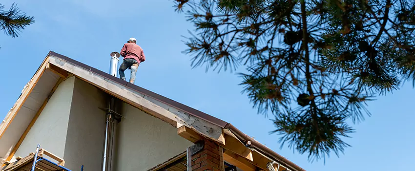 Birds Removal Contractors from Chimney in Daphne, AL