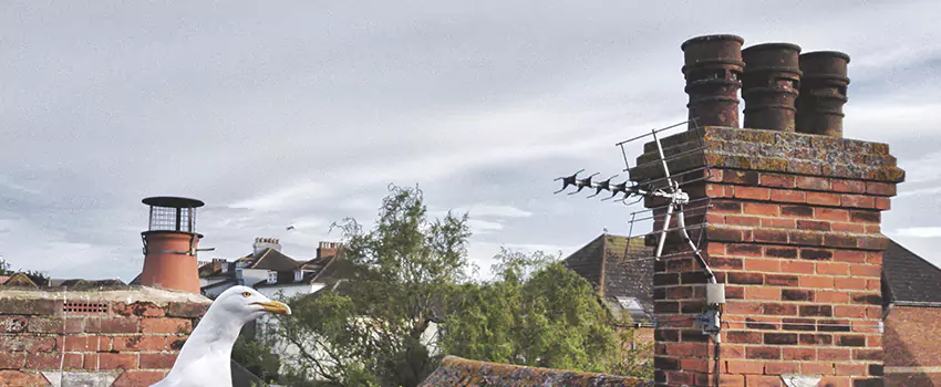 Chimney Cleaning And Restoration in Daphne, Alabama